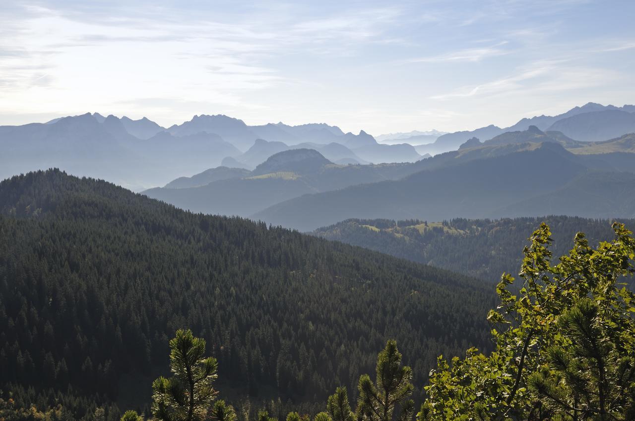 Mein Chalet Reit im Winkl Bagian luar foto