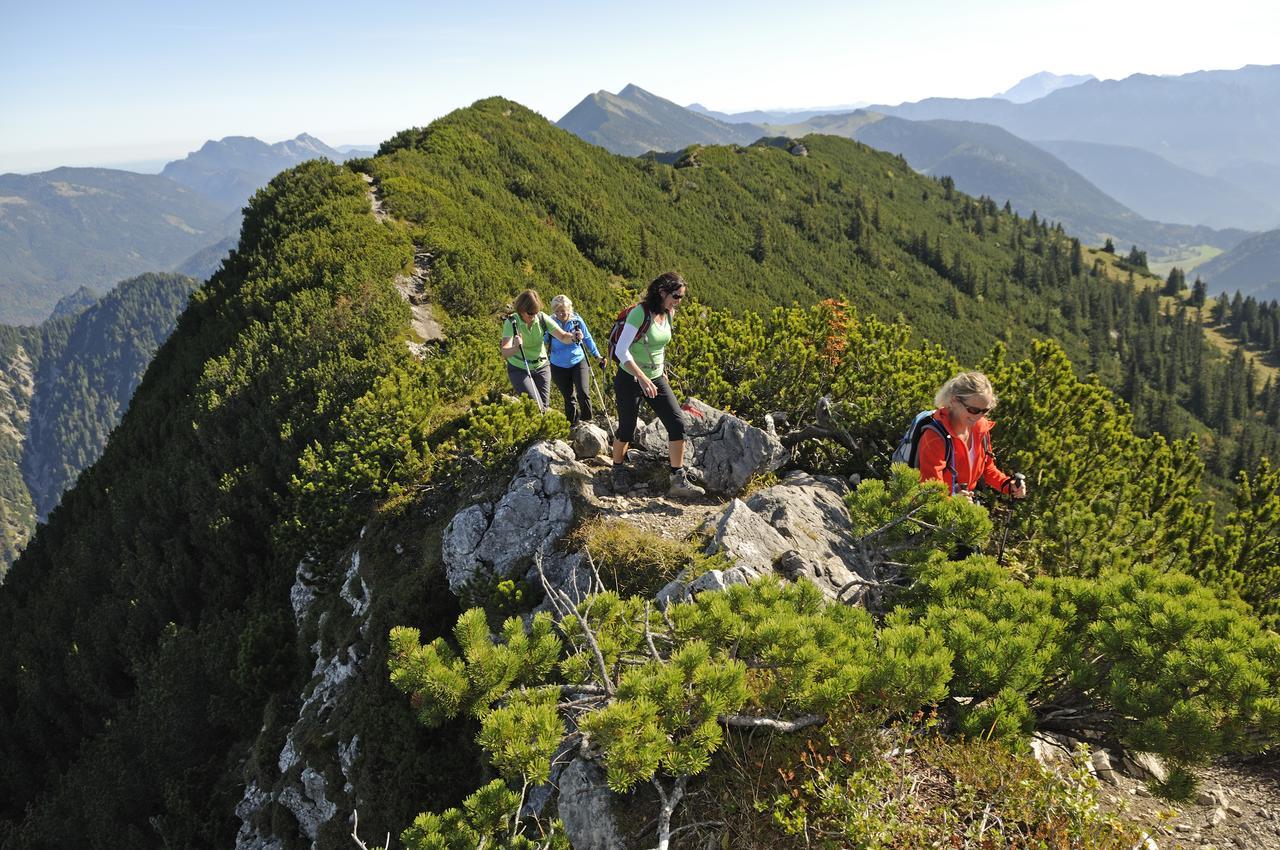 Mein Chalet Reit im Winkl Bagian luar foto